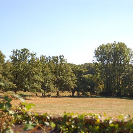 הוילה Saint-Amand-en-Puisaye Gite Du Vieux Charme מראה חיצוני תמונה