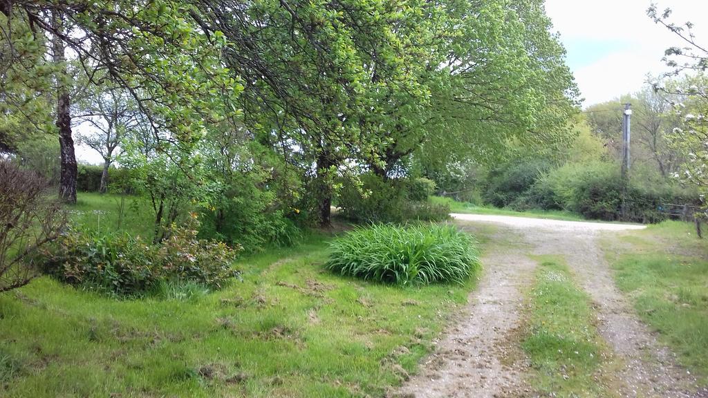 הוילה Saint-Amand-en-Puisaye Gite Du Vieux Charme מראה חיצוני תמונה