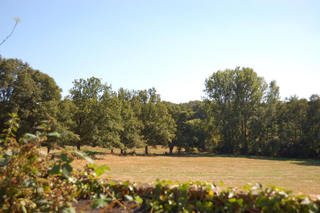 הוילה Saint-Amand-en-Puisaye Gite Du Vieux Charme מראה חיצוני תמונה